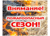 СОХРАНИМ ПРИРОДУ - ПРЕДОТВРАТИМ ЛЕСНЫЕ ПОЖАРЫ - Государственное автономное учреждение Свердловской области спортивная школа олимпийского резерва по велоспорту "Велогор"